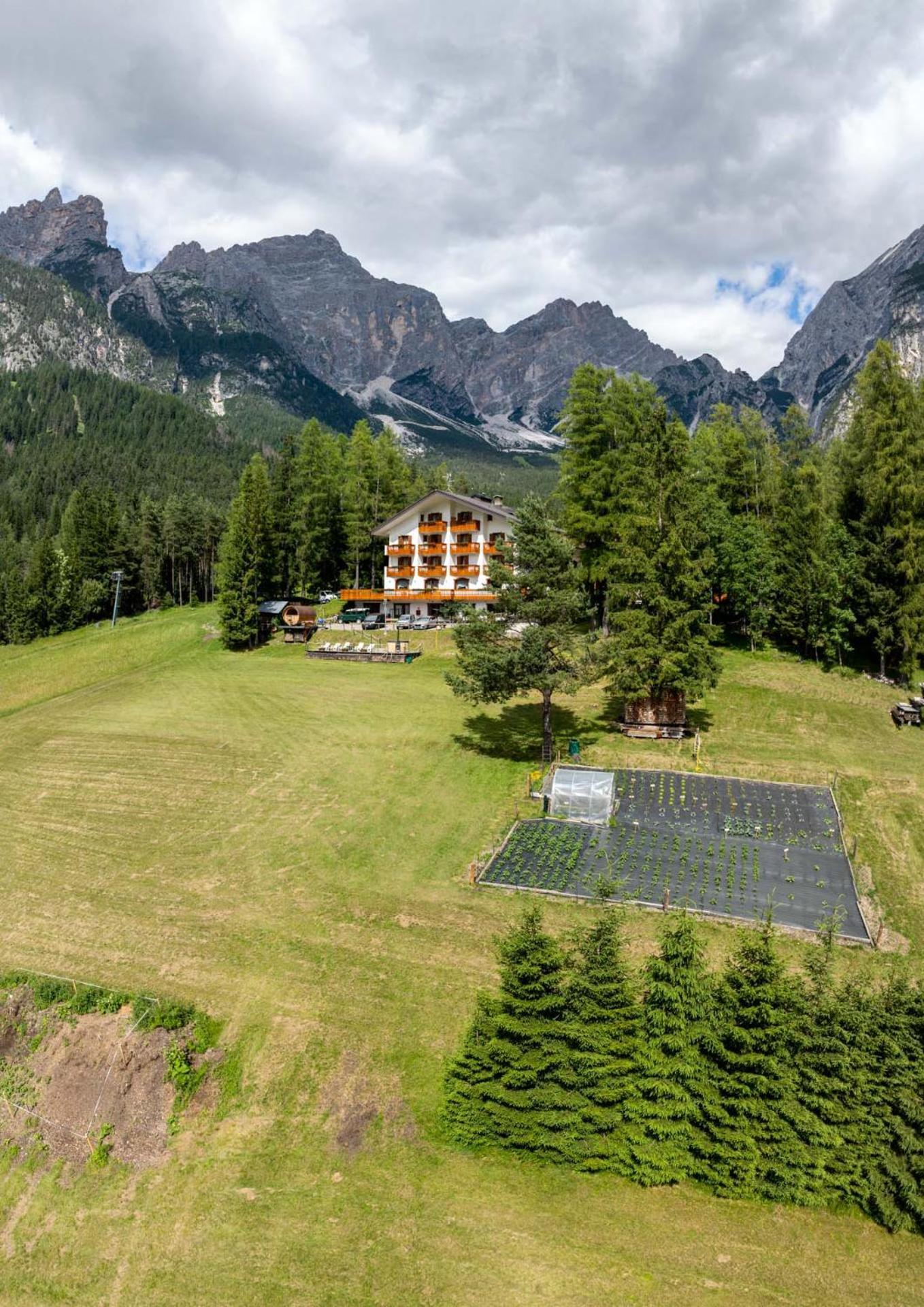 Hotel Il Cardo San Vito di Cadore Extérieur photo