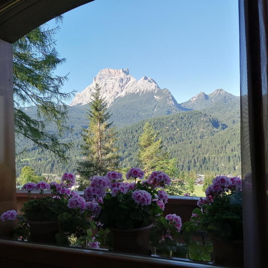 Hotel Il Cardo San Vito di Cadore Extérieur photo