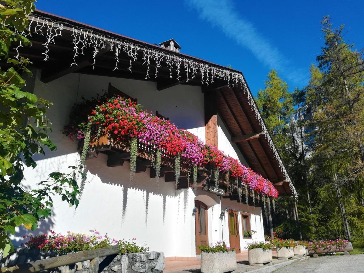 Hotel Il Cardo San Vito di Cadore Extérieur photo
